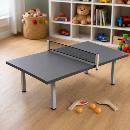 Adjustable Mini Table Tennis With Net – ToysWalaPK